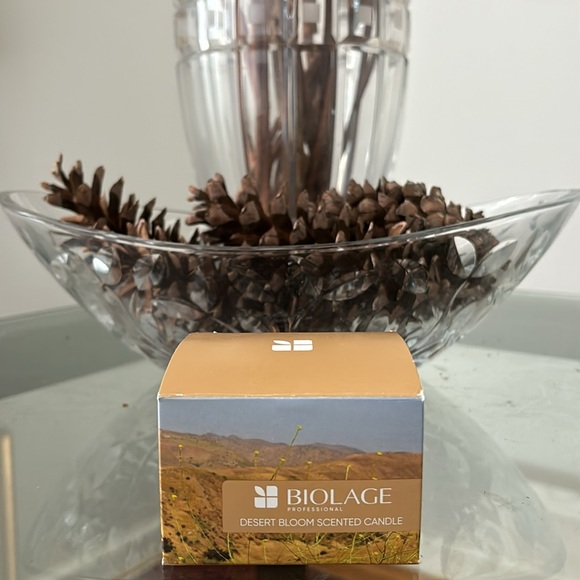 Biolage professional DESERT BLOOM scented candle - Picture 3 of 11